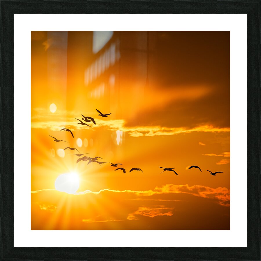 FS180304S Picture Frame print