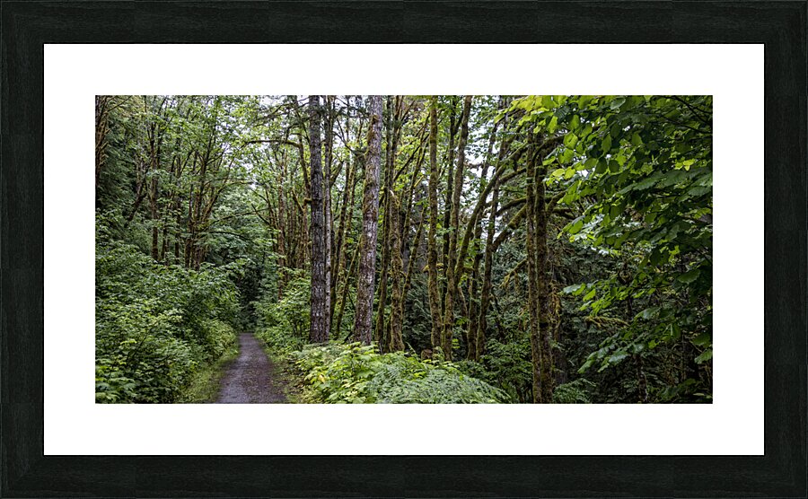 FS180630 07 Picture Frame print