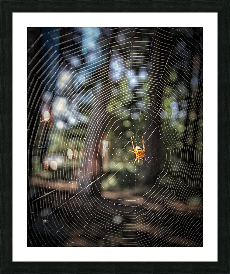 Building The Network Picture Frame print