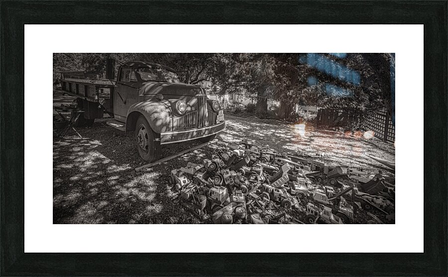 FS170911 007 Picture Frame print