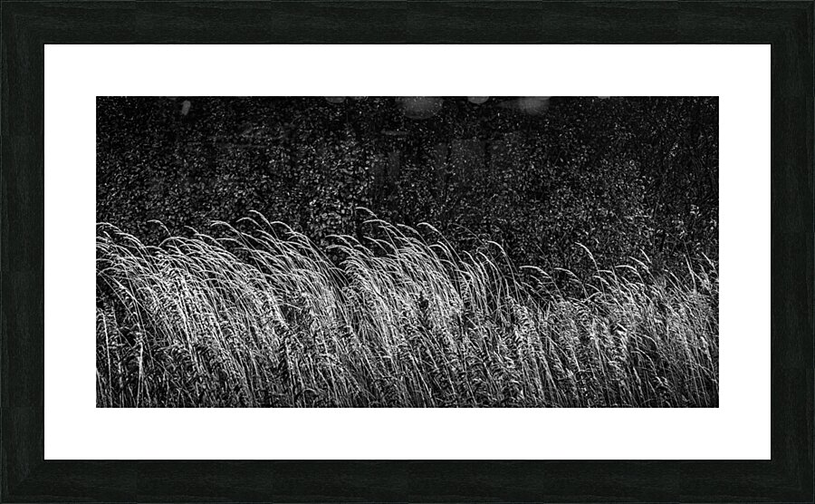 FS230830 Picture Frame print