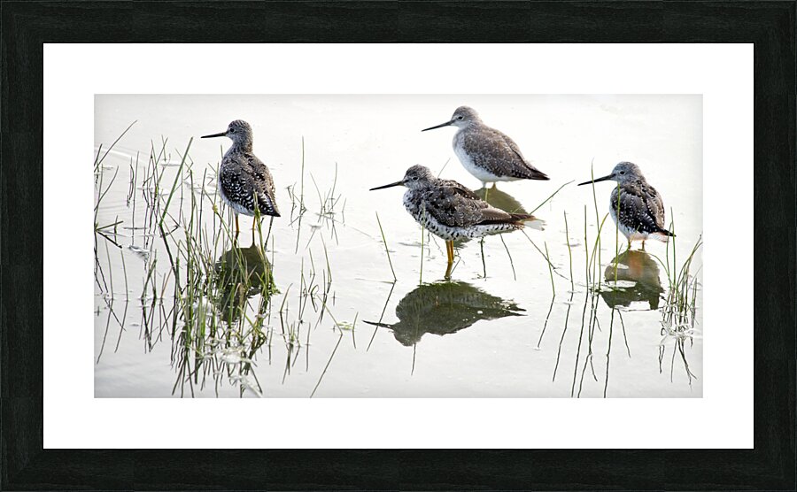 FS230807 Picture Frame print