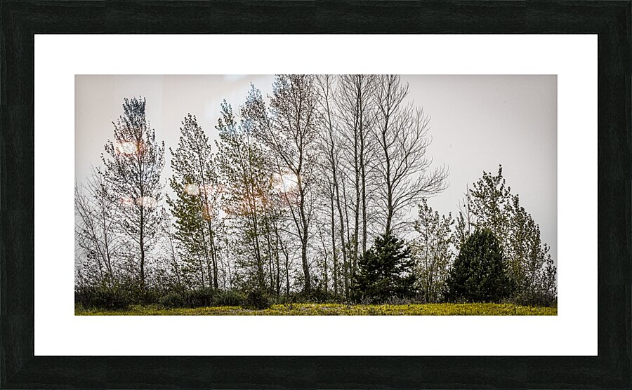 FS230820DW Picture Frame print