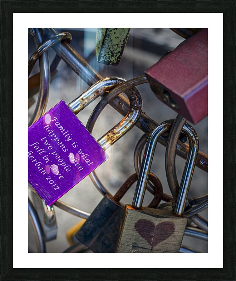 FS230821 Picture Frame print
