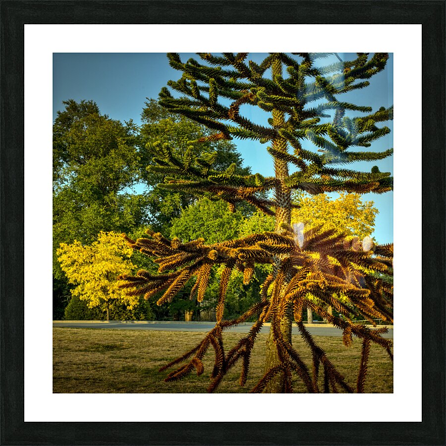FS230821 S2 Picture Frame print