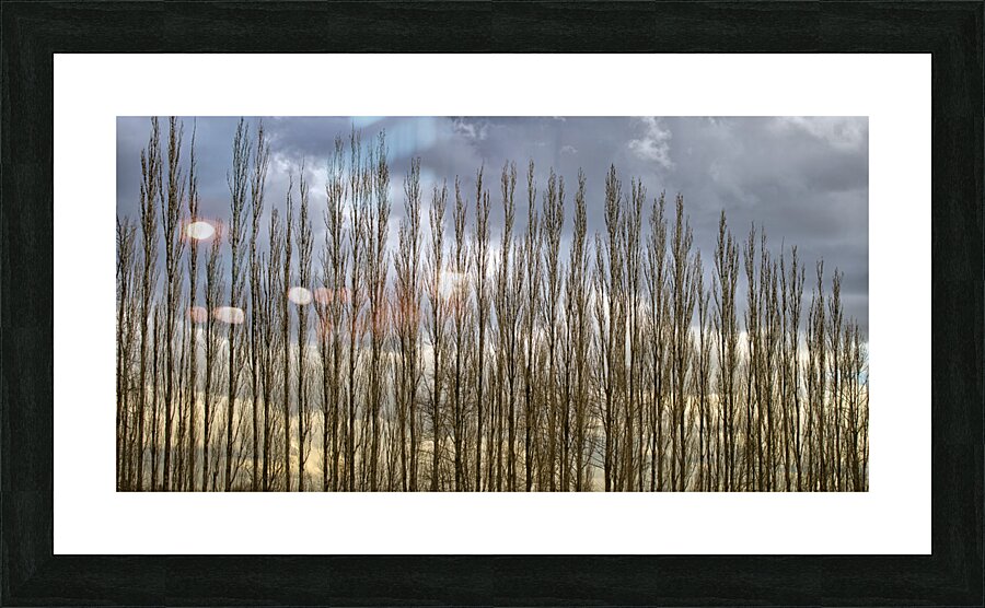 FS230307 170 Picture Frame print