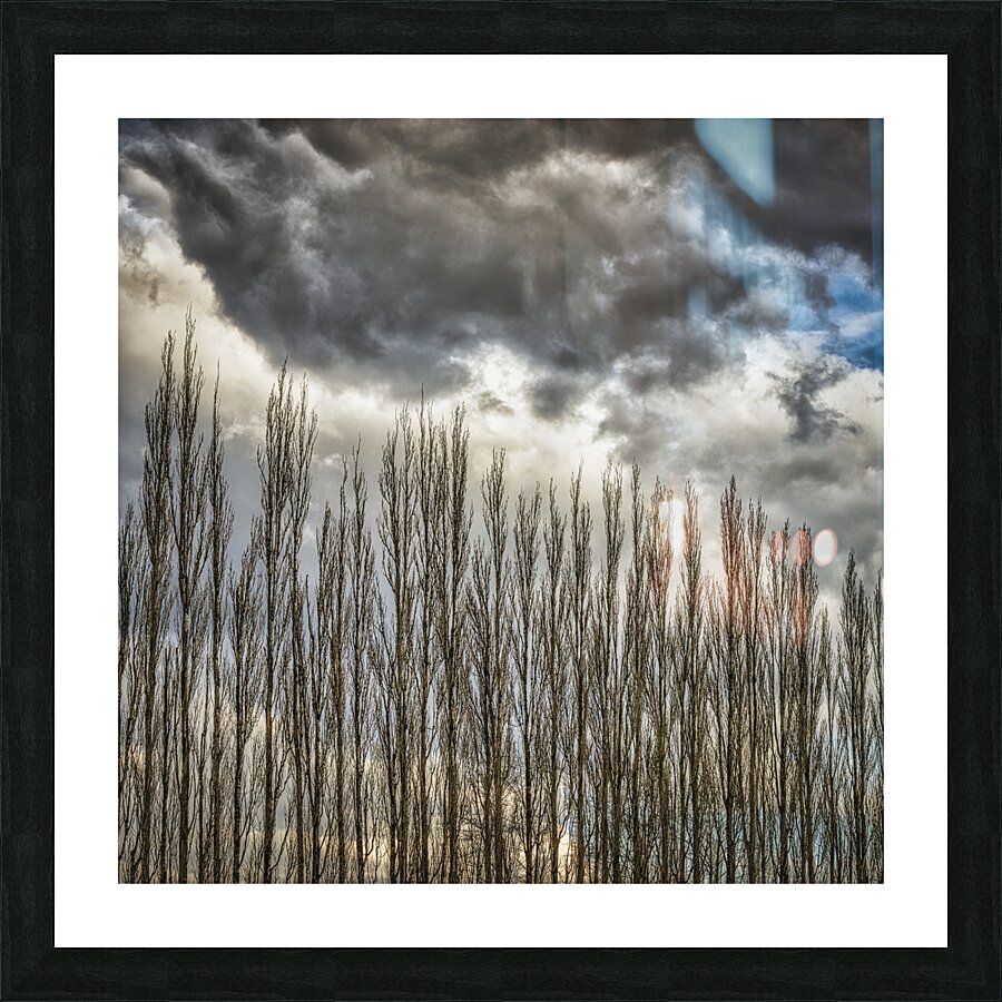 FS230307 1782 Picture Frame print