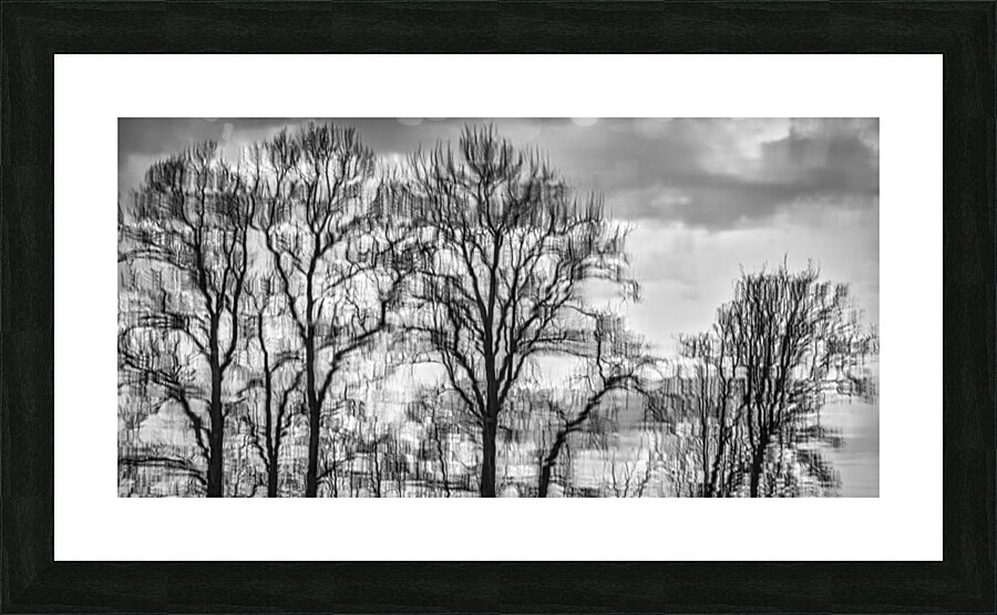 FS230307 09 Picture Frame print