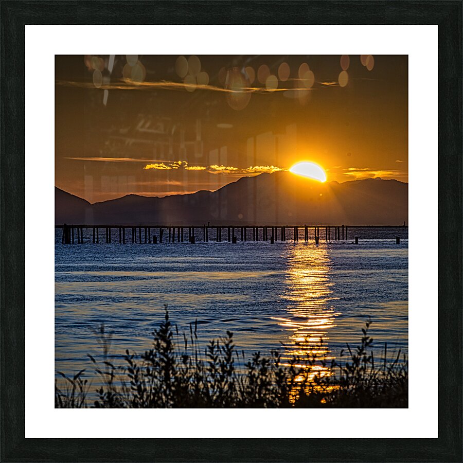 FS230920 3 Picture Frame print