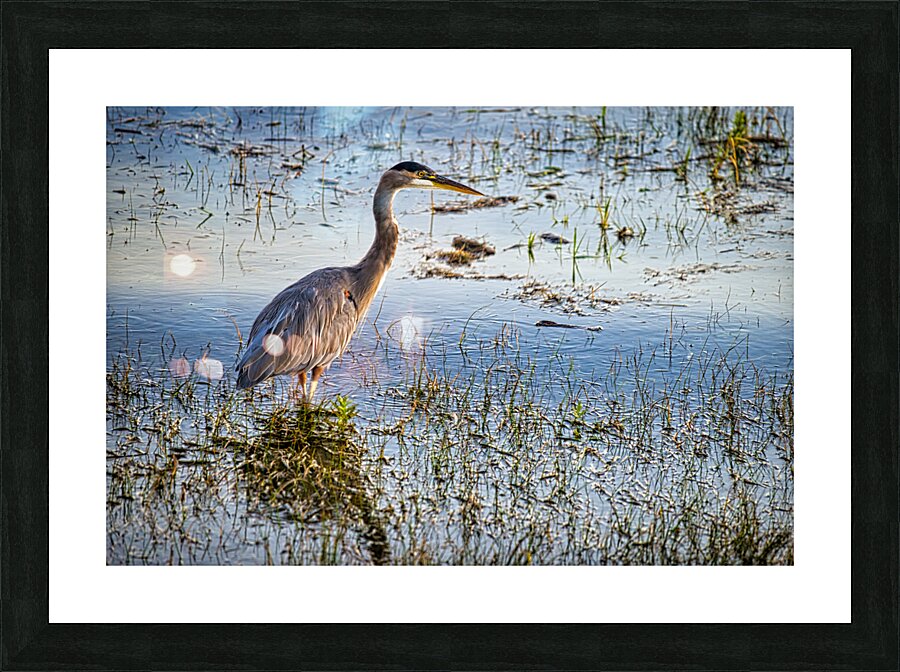 FS230915 Picture Frame print