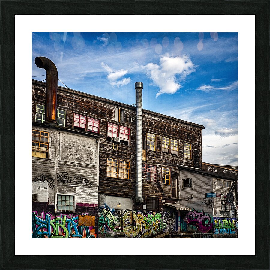 FS230910 06 Picture Frame print