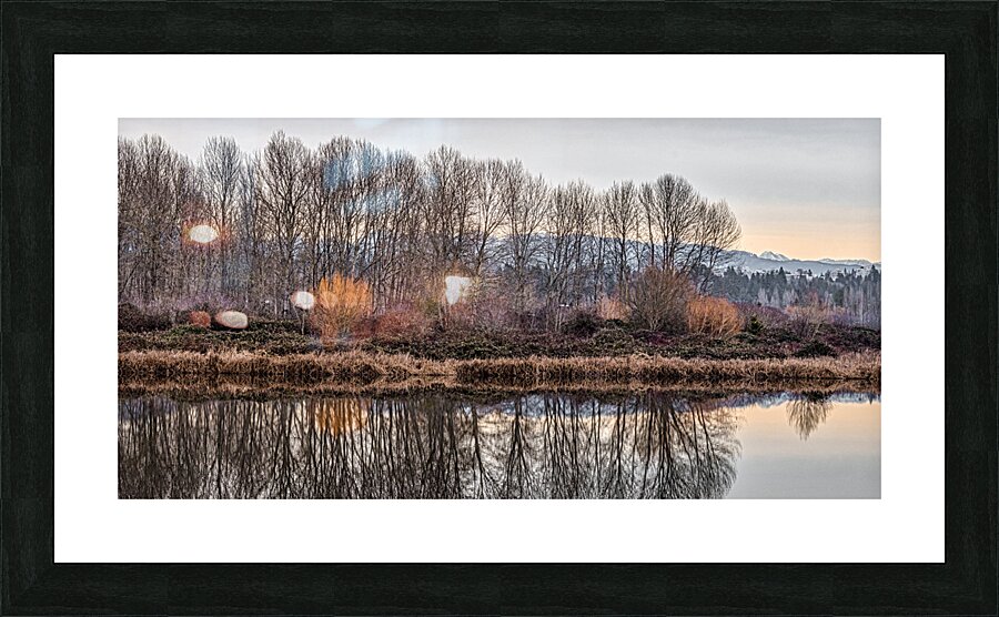 FS230104 153 3 Picture Frame print