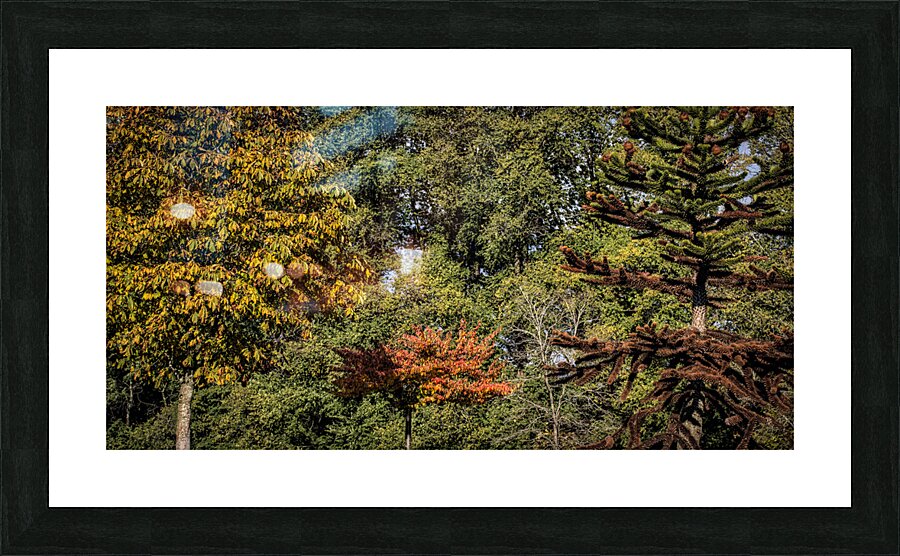 FS231104 02 Picture Frame print