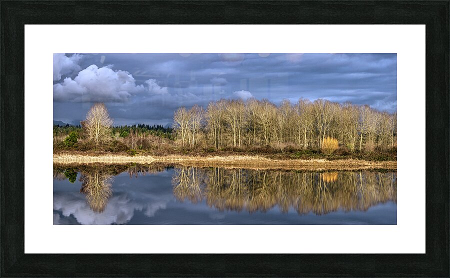 FS230119 073 Picture Frame print