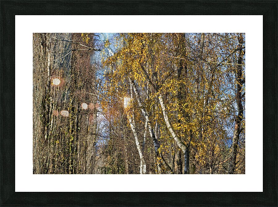 FS231119 01 Picture Frame print