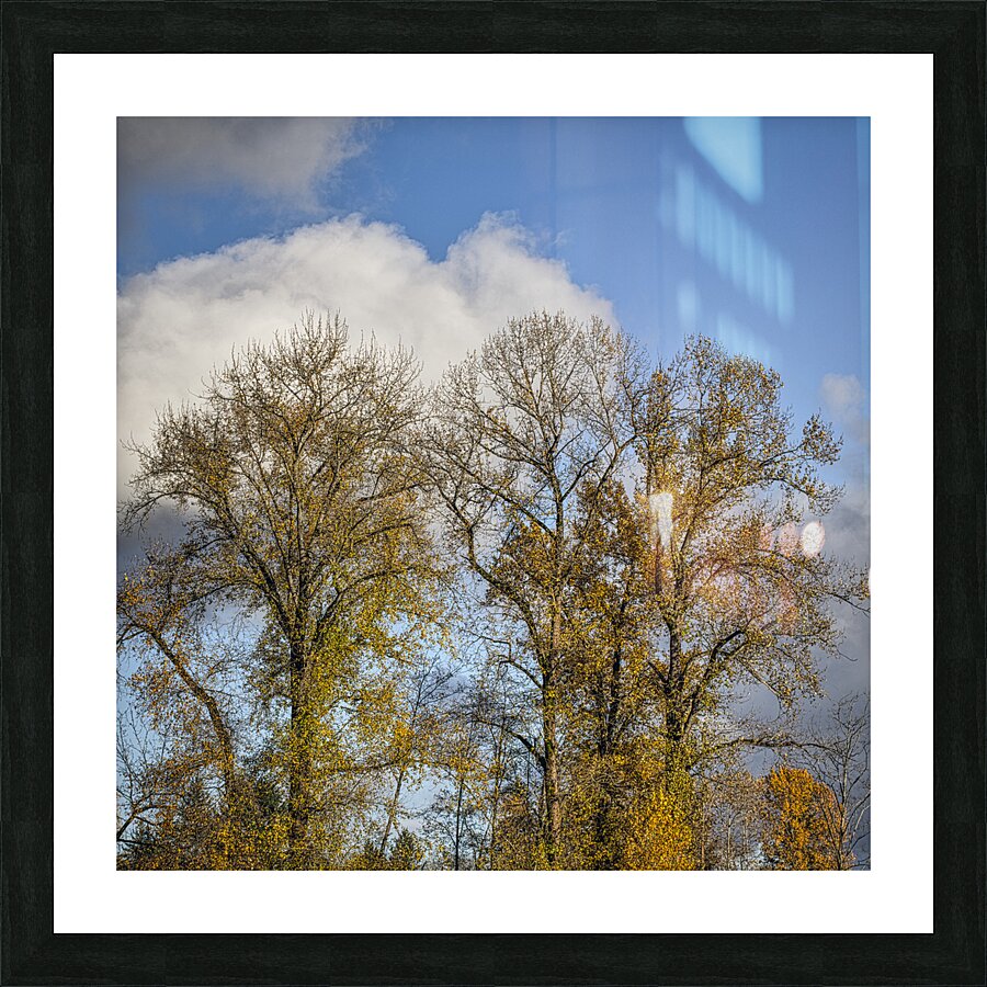 FS231113S Picture Frame print