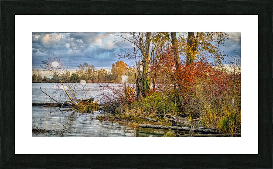 FS231107 003 Picture Frame print