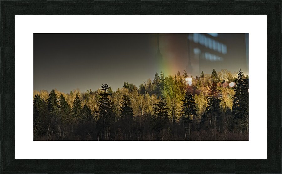 FS230221DW2 Picture Frame print