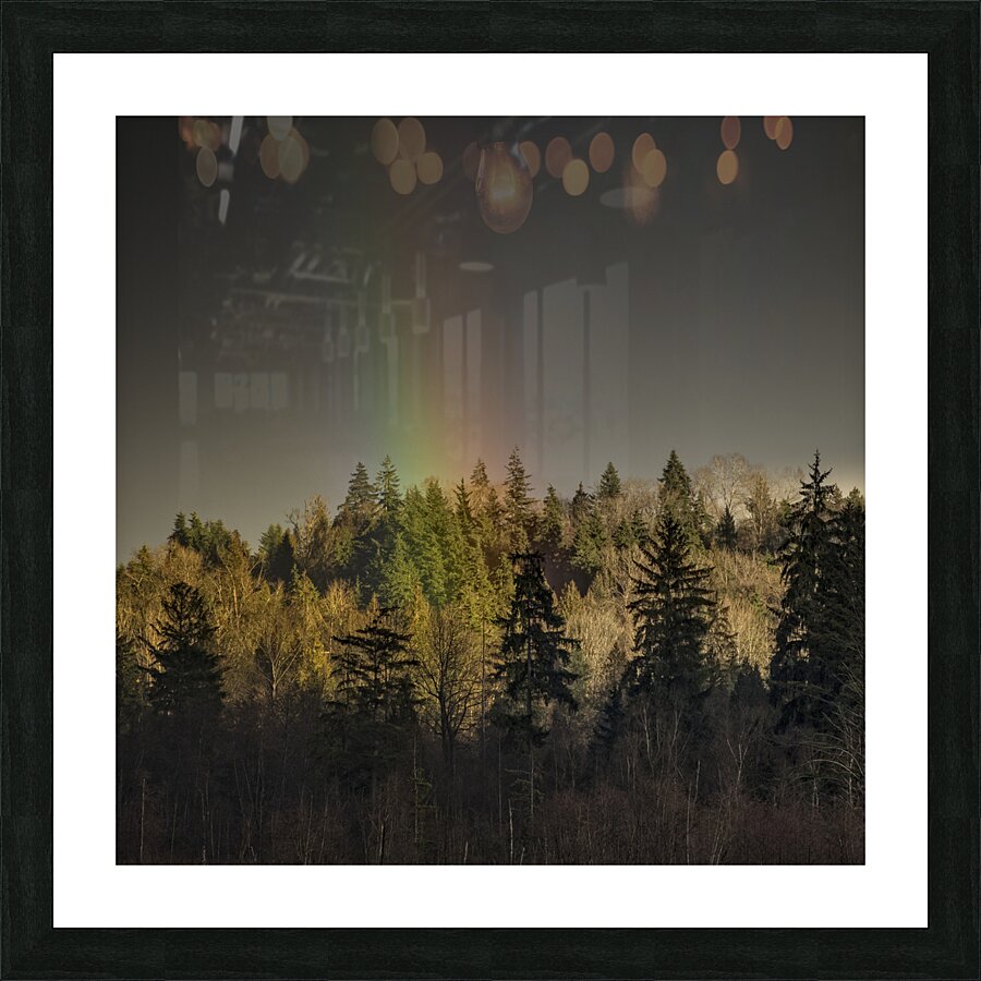 FS230221 S1 Picture Frame print