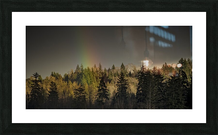 FS230221 DW Picture Frame print