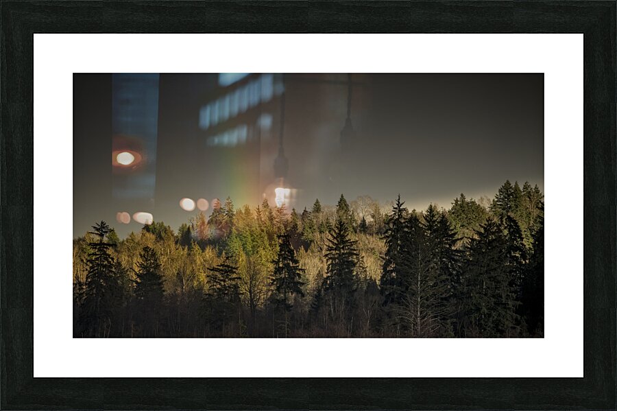 FS230221 169 Picture Frame print