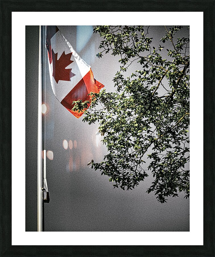 FS230503 FLAG 2 Picture Frame print