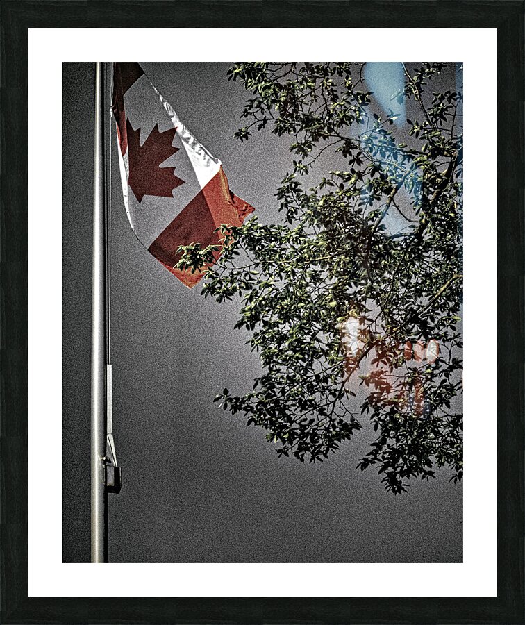 FS230503 FLAG 4 Picture Frame print