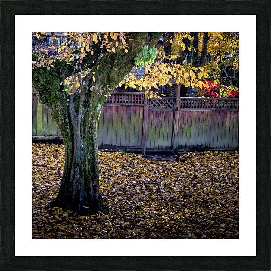 FS231114S Picture Frame print