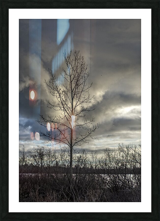 FS231231 TREE Picture Frame print