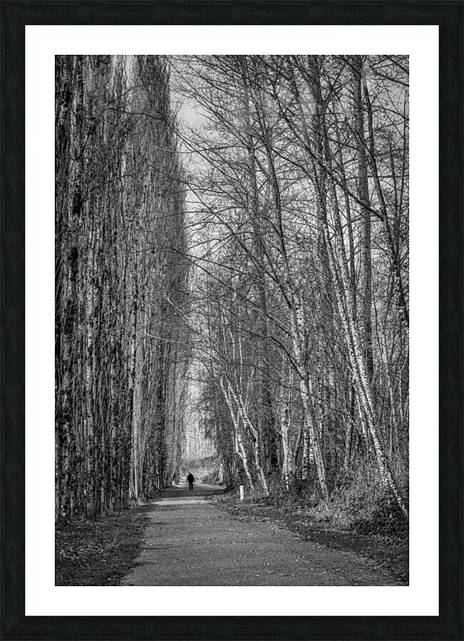 FS231127BW Picture Frame print
