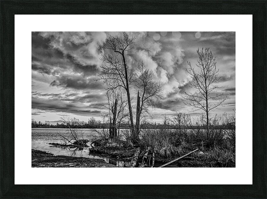 FS231231FA Picture Frame print