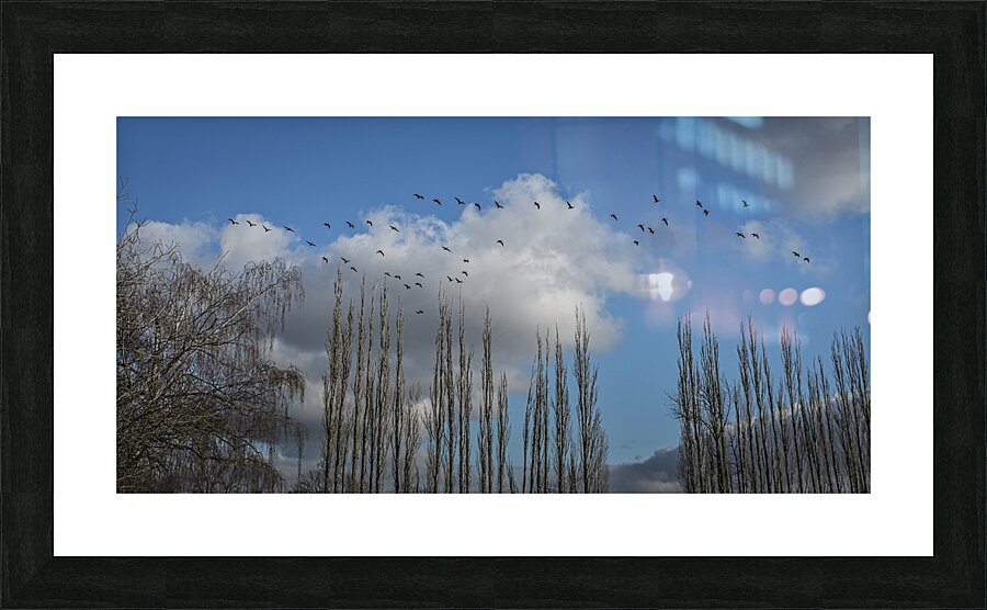 FS240207 Picture Frame print
