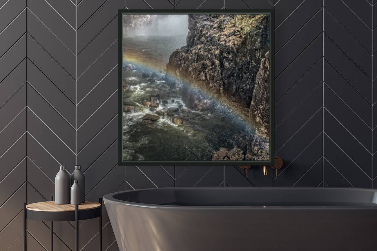 FS180417 SS Reproduction