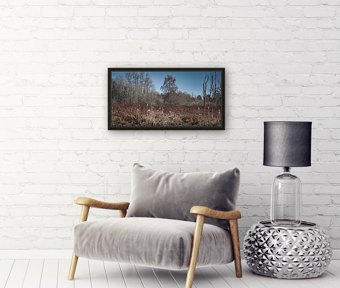FS240319 TREES Reproduction