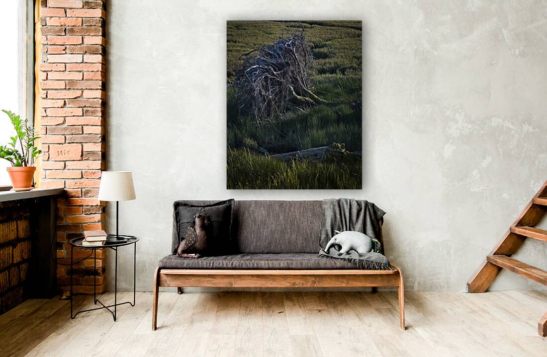 FS240430 ROOTS II Reproduction