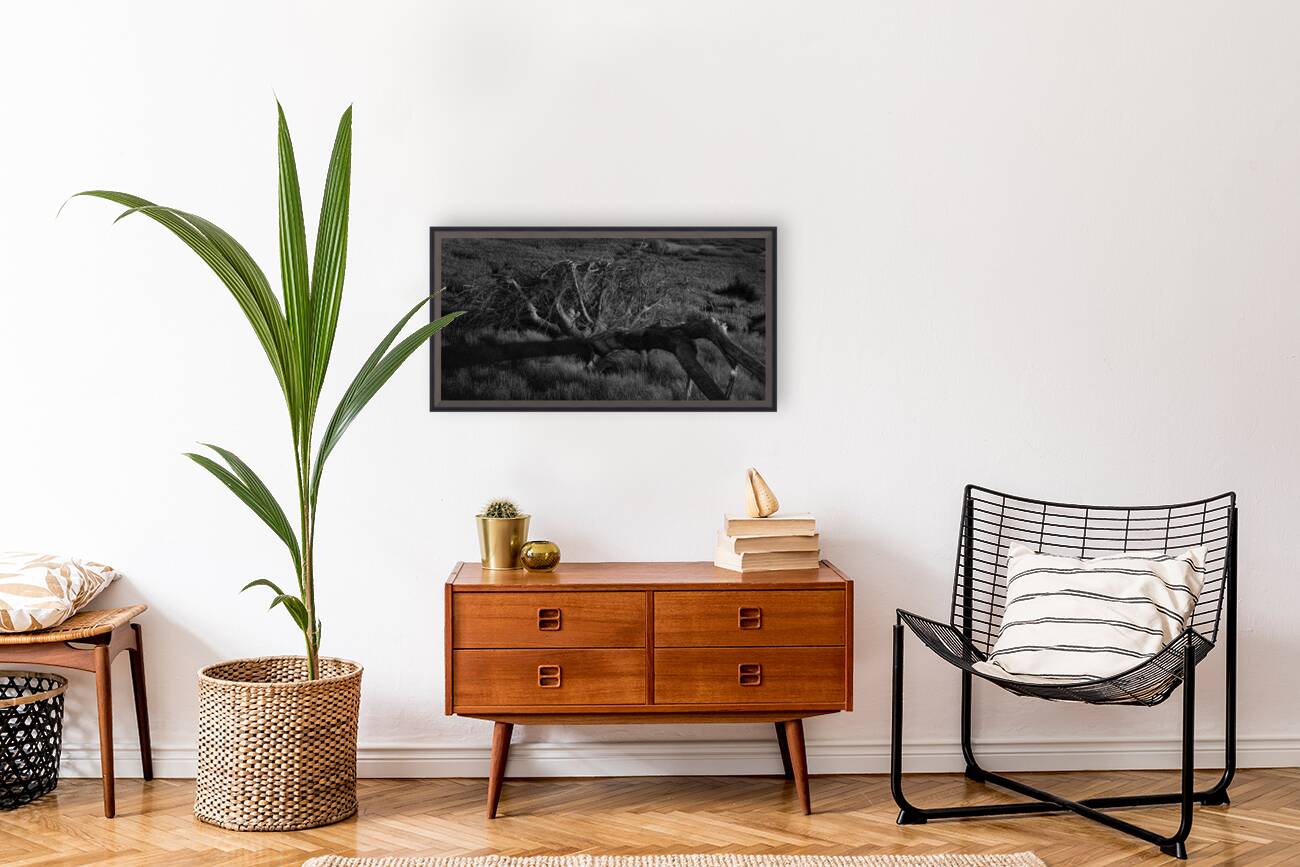 FS240430BW Reproduction