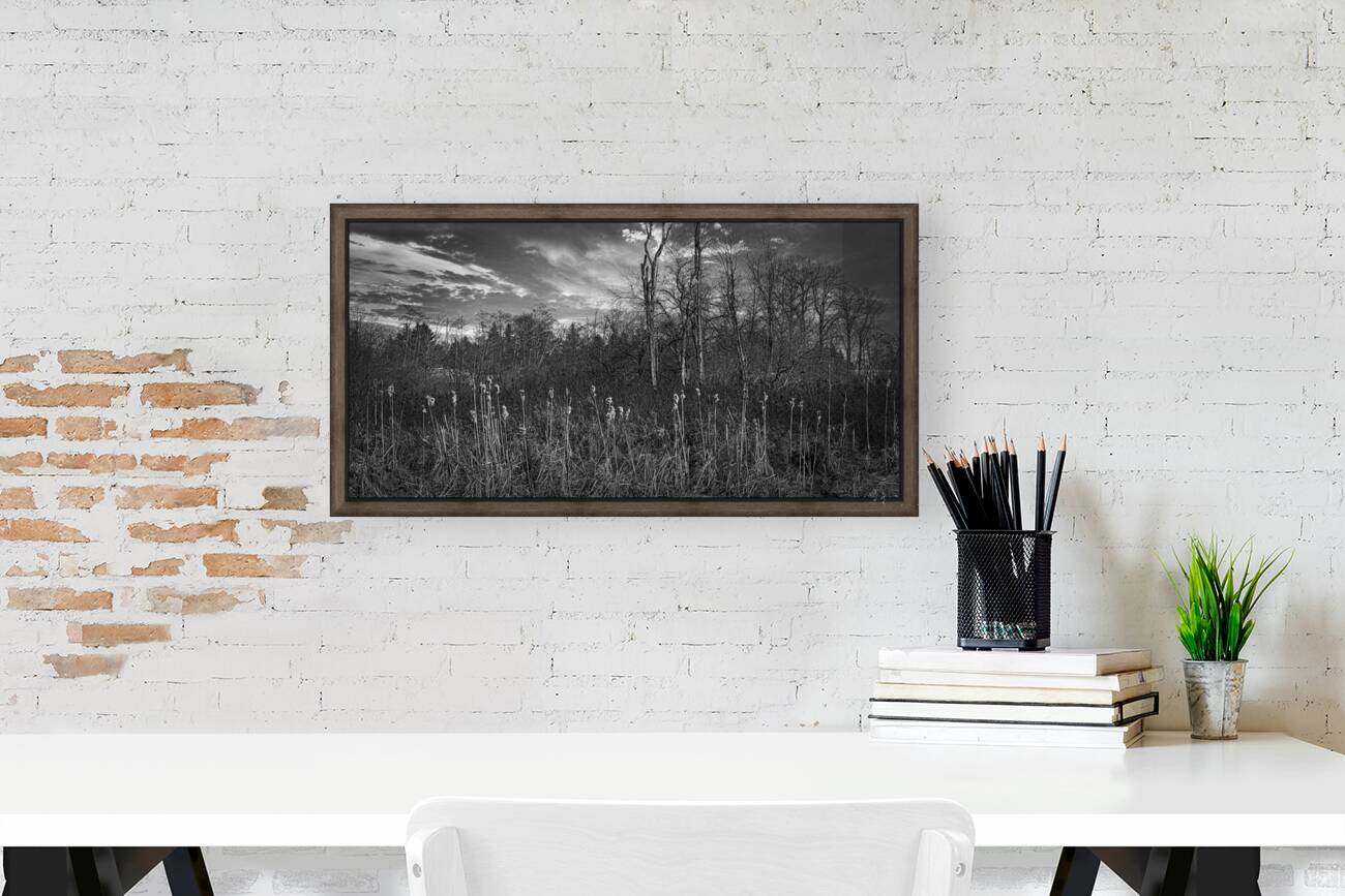 FS240318 Still Creek Reproduction