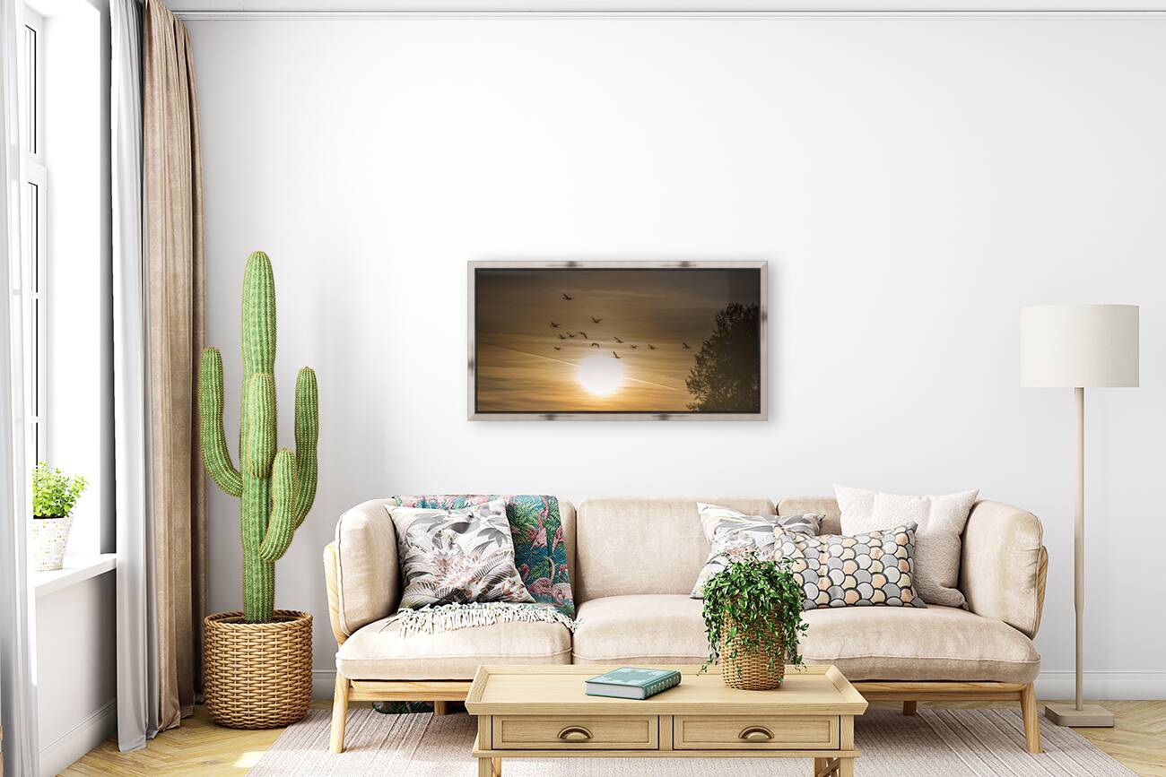 FS240514 Golden Hour Reproduction