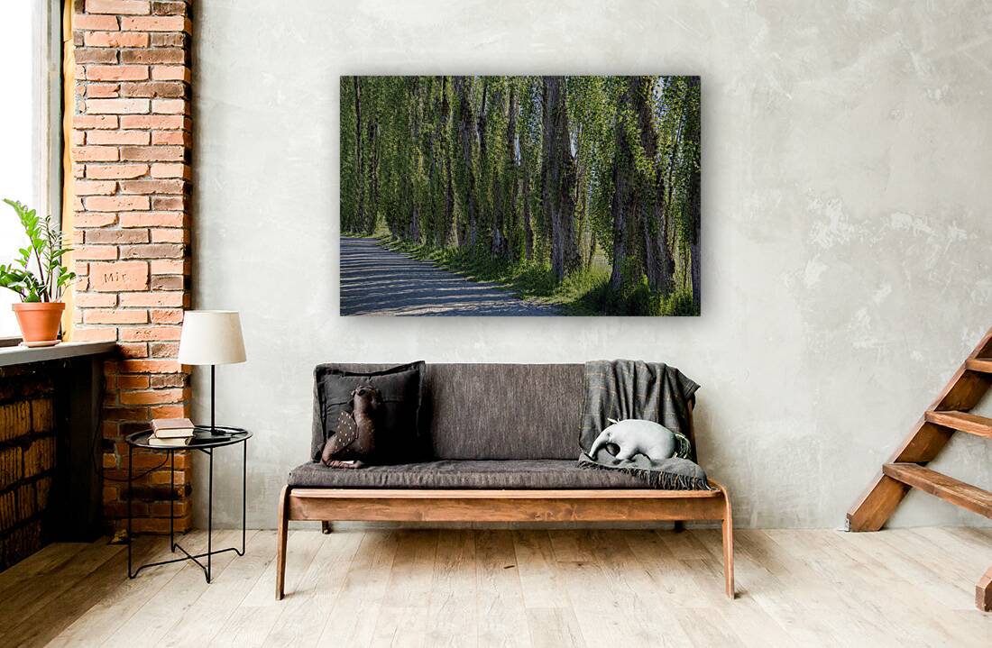 FS240619 TREES Reproduction