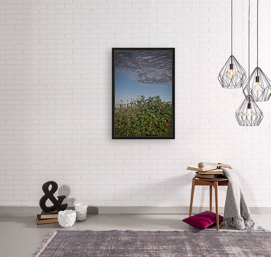 FS240702 Cloudscape Reproduction