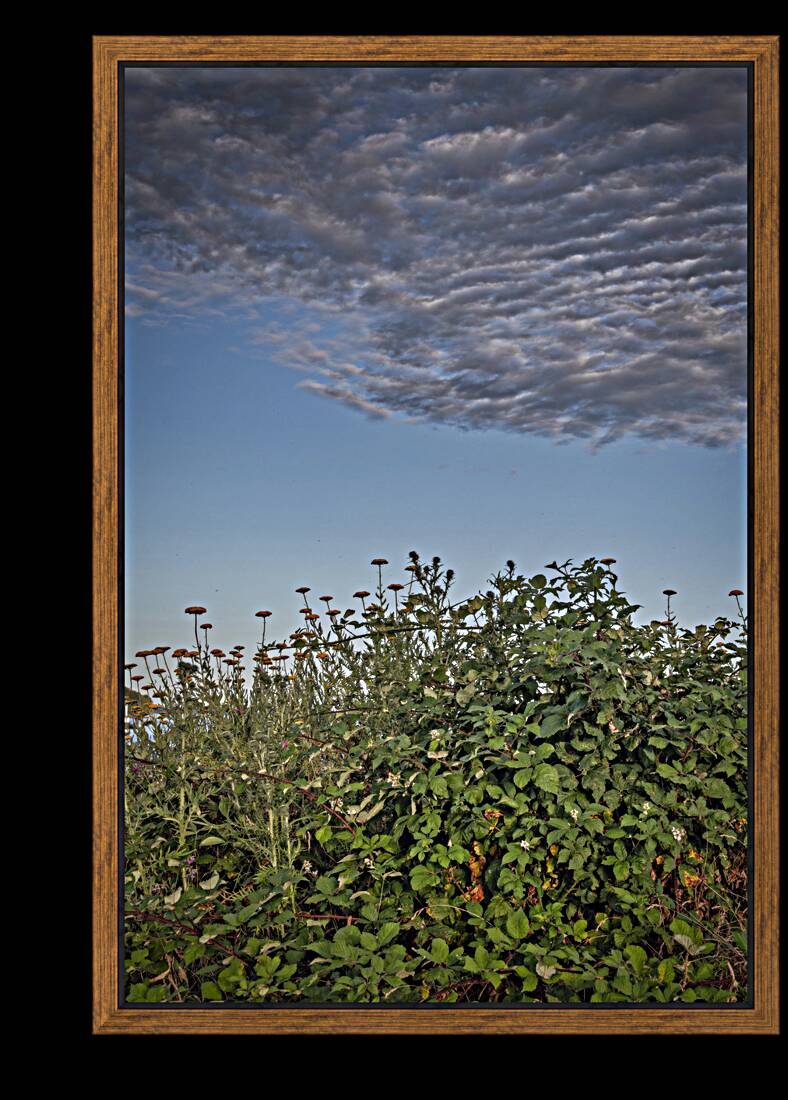 FS240702 Cloudscape Reproduction