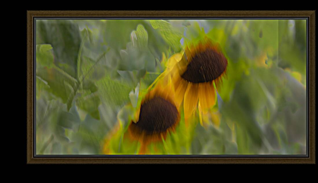 20240824 42 Reproduction
