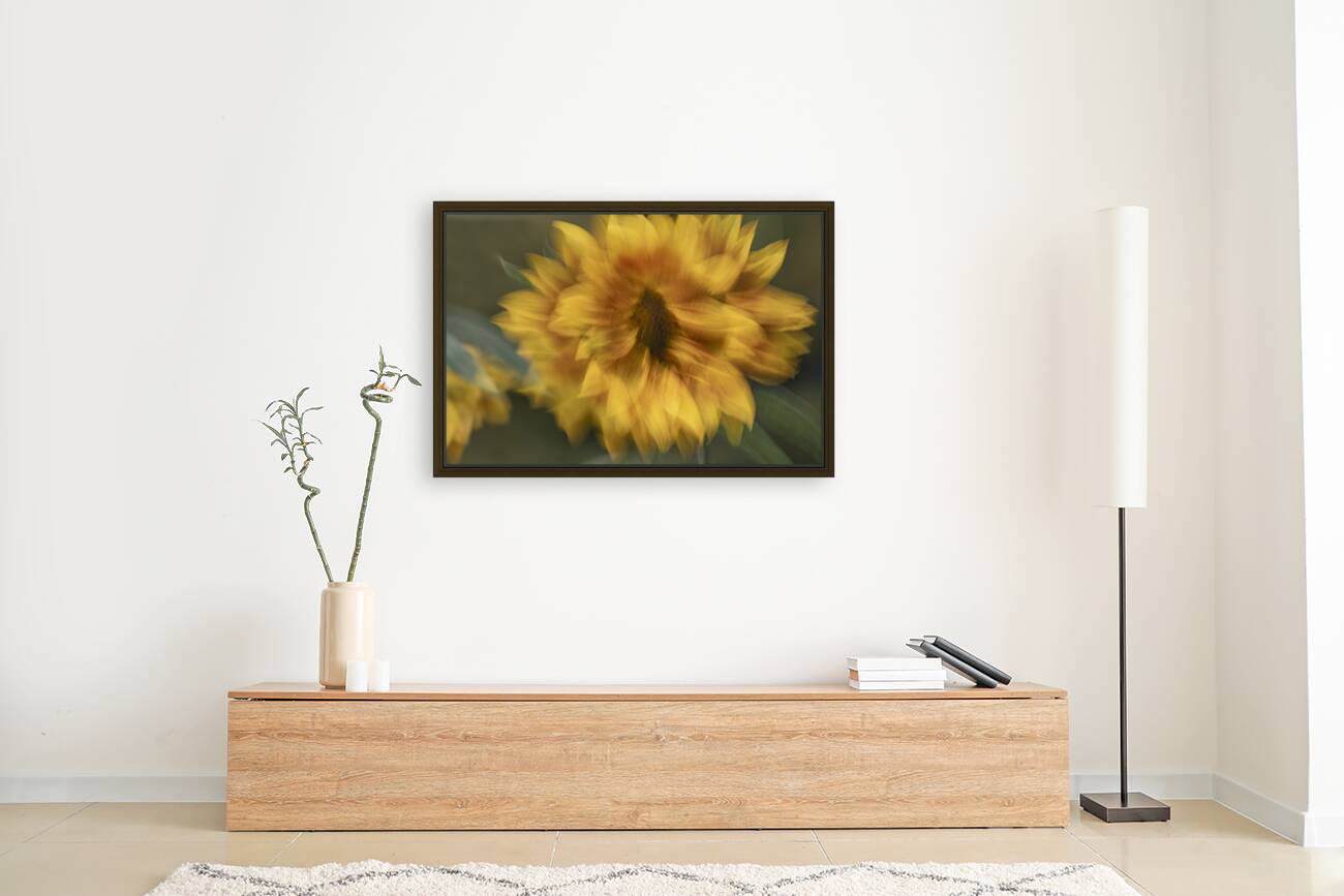 FS240907 SUNFLOWER Reproduction