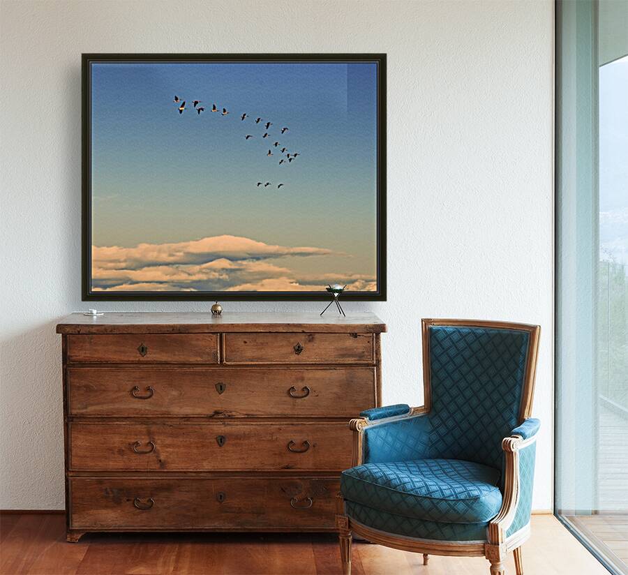 FS240929 GEESE Reproduction
