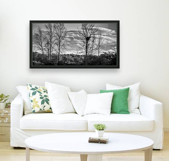 FS241004 EAGLE NEST Reproduction
