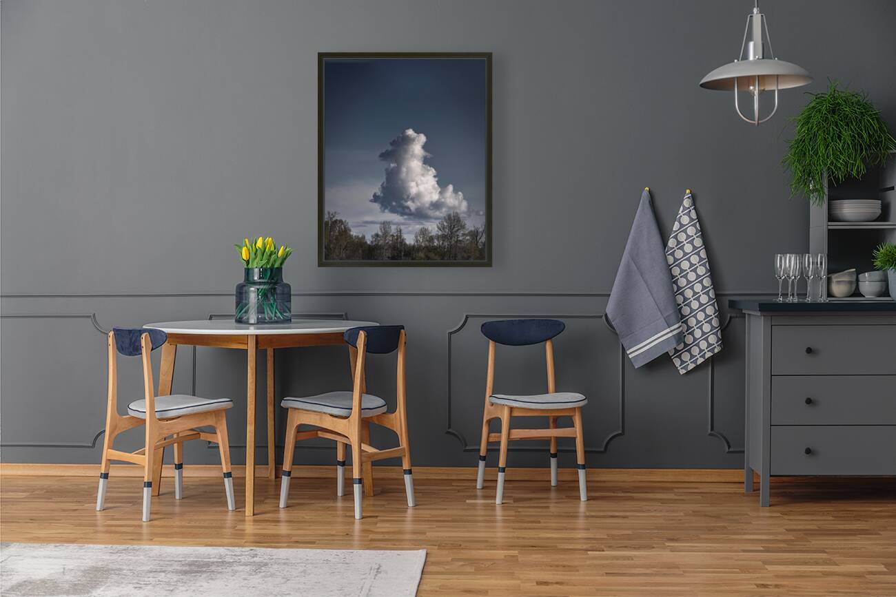FS230419H CLOUDSCAPE Reproduction