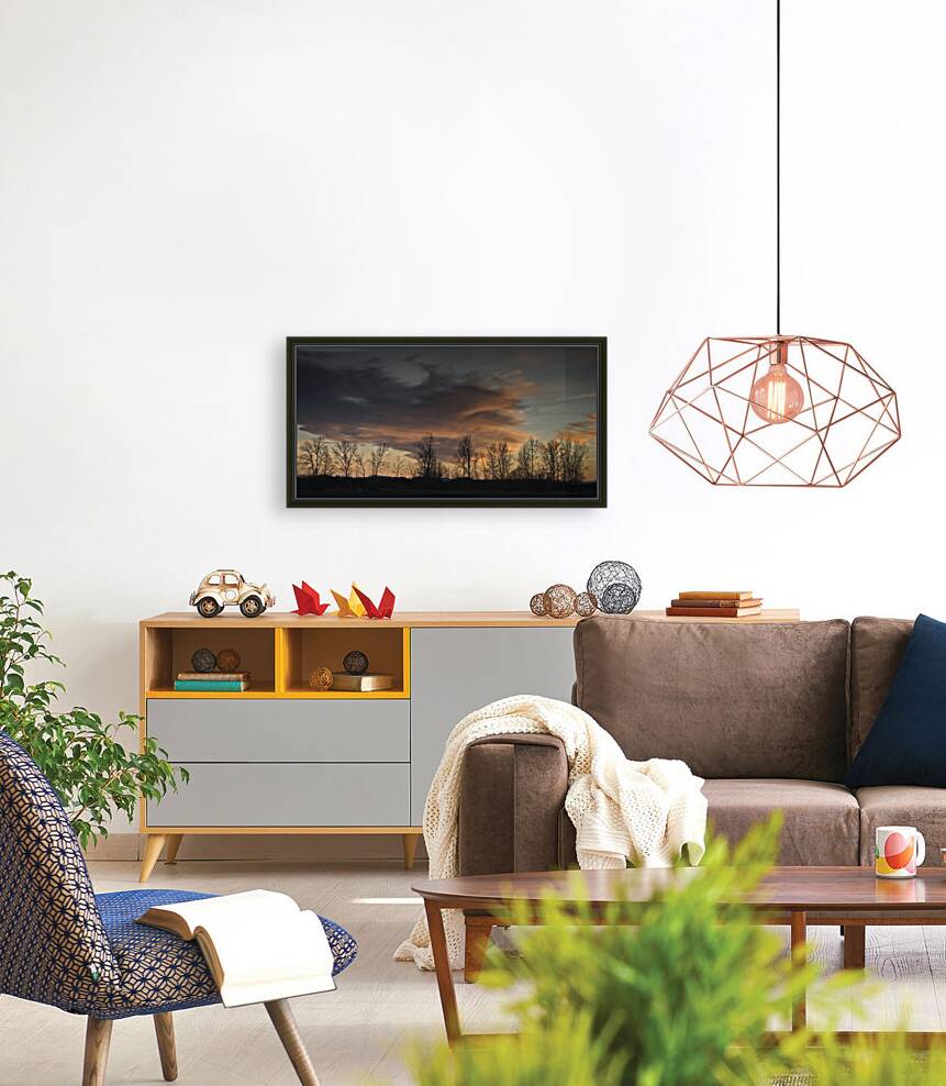 FS250125DW Reproduction