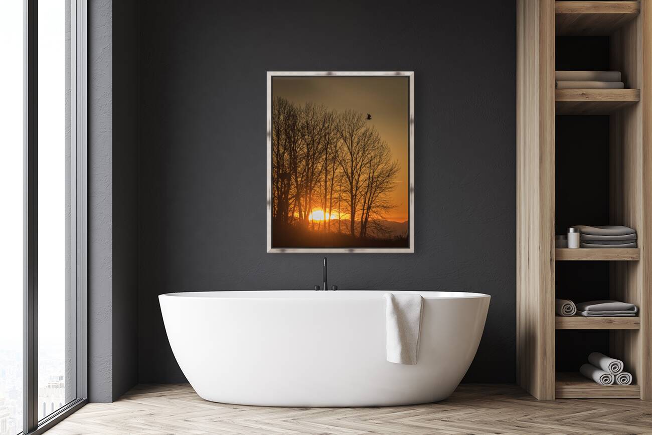 FS250118 SILHOUETTES Reproduction