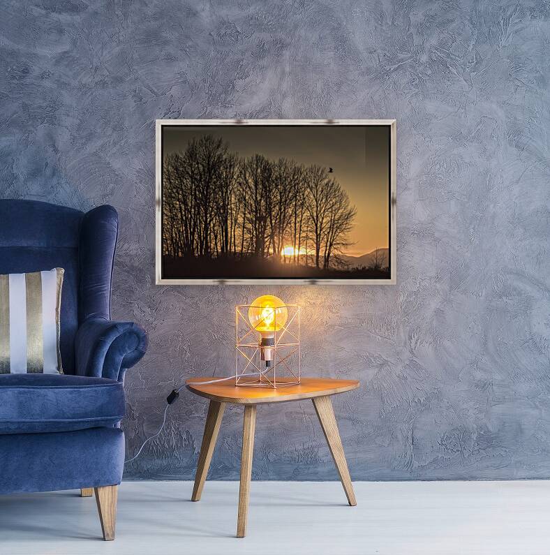SUNSET BEHIND SILHOUETTE TREES Reproduction