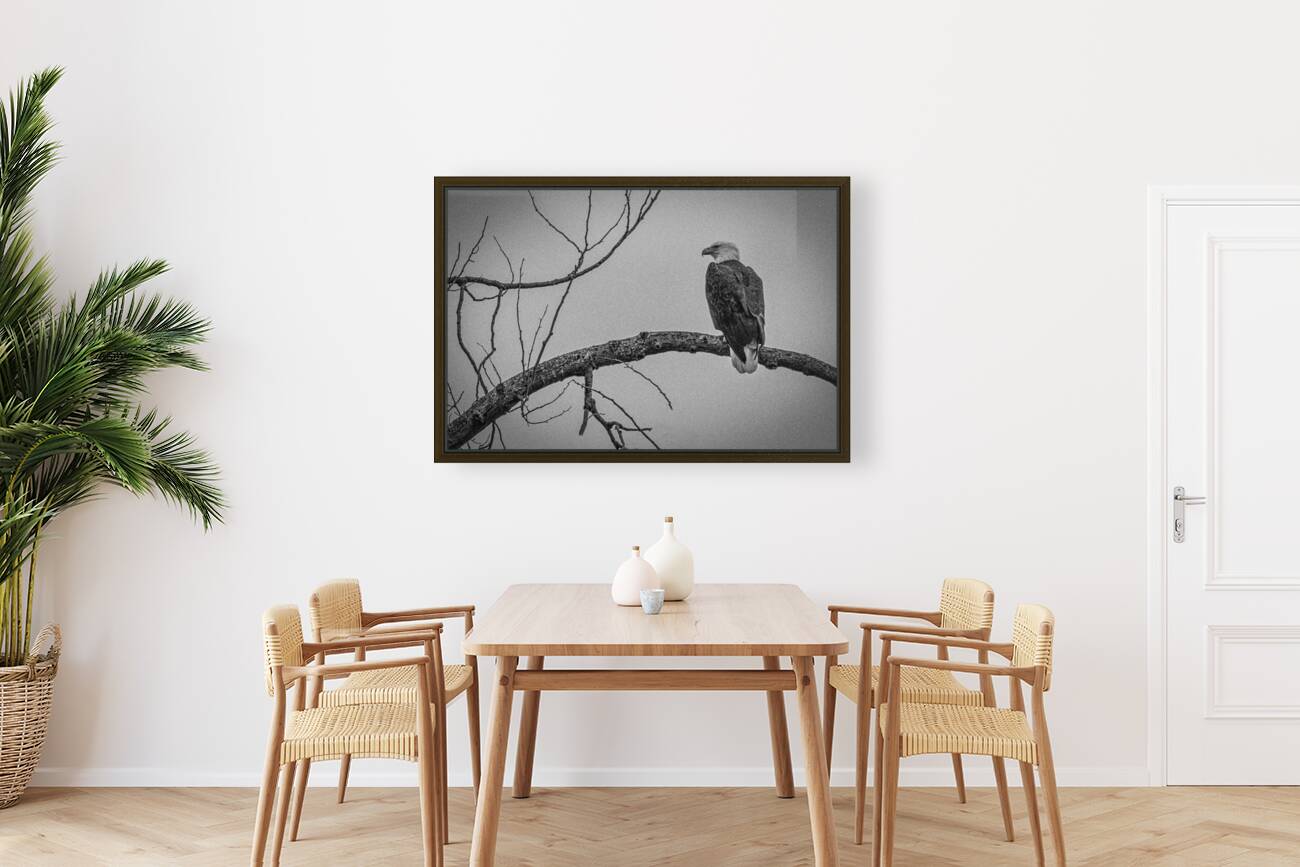 FS250209 ANTIQUE BW Reproduction